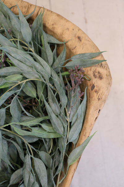 Weeping Gum Bunch