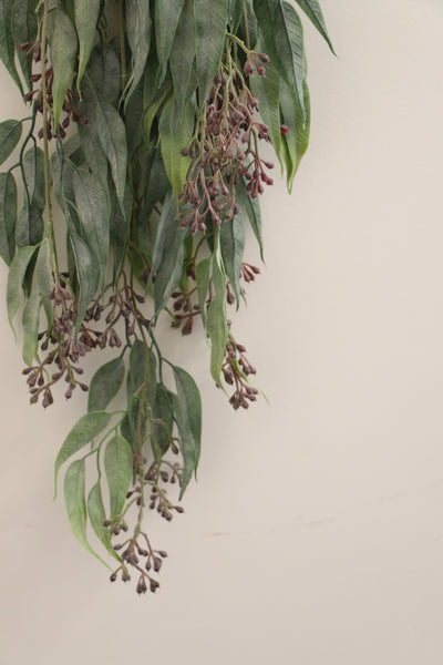 Weeping Gum Bunch