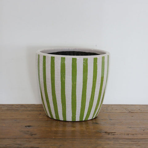 Lime Green Stripe Planter Large