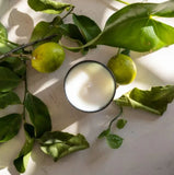 Christian Tortu Vert Frais Candle