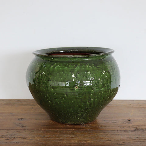 Cacao Pot Medium in Green