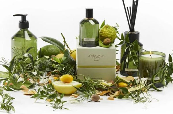 Christian Tortu Jardin Citrus Pot Pourri