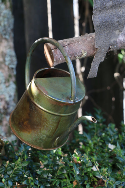 Haveli Watering Can in Aged Brass Finish