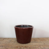 Medium Planter in Spice