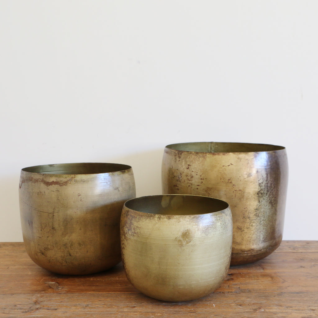 brass plant pot nz Haveli Planter in Antique Brass Finish