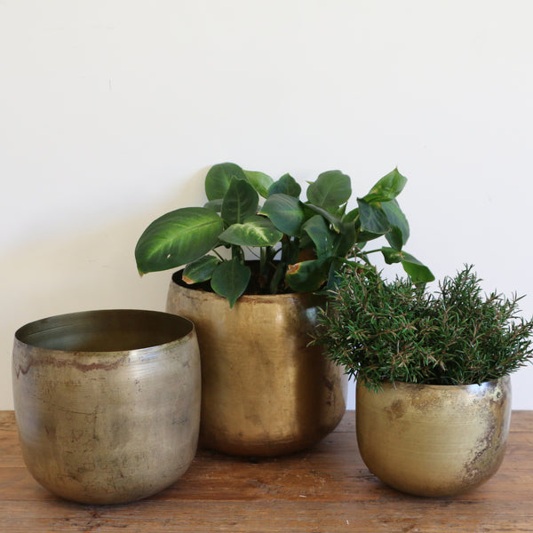 Haveli Planter in Antique Brass Finish