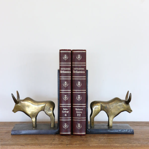 Bull Bookends in Brass Finish