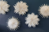 Feathered Flower Decoration