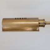 Apartmento Adjustable Floor Lamp in Antiqued Brass