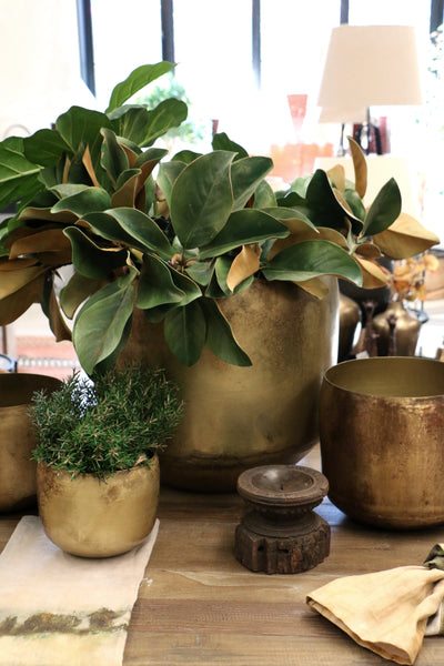 Haveli Planter in Antique Brass Finish