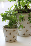 Abeille Crackled Planter 12cm