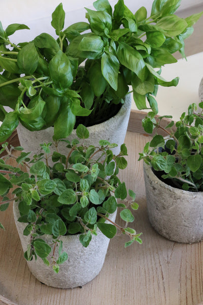 Small Tuscan Style Stone Planter