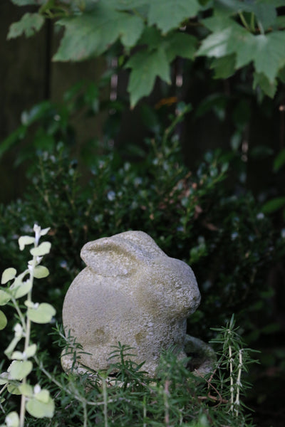 Medium Rabbit in Aged Stone Finish