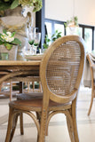 Clichy Elm Chair in Ash Walnut