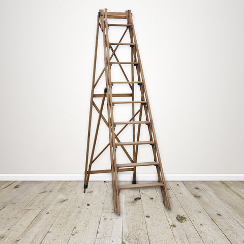 Tall Oak Ladder