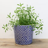 Blue & White Large Planter