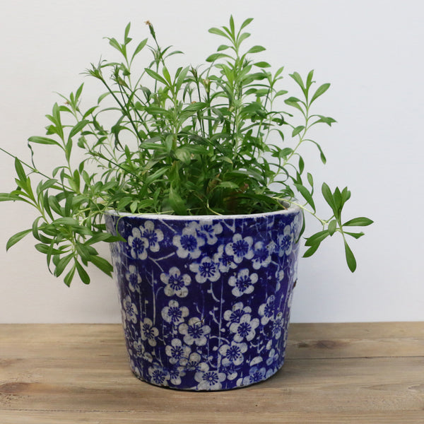 Blue & White Large Planter