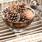 Stainless Steel and Ethically Harvested Bone Bowl