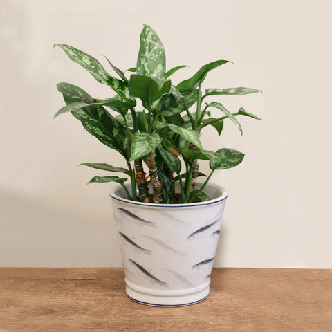 Oceania Planter 18cm