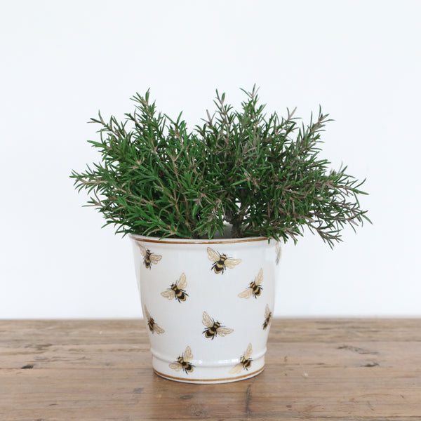 Abeille Crackled Planter 12cm