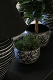 Haveli Black & White Planter - Medium