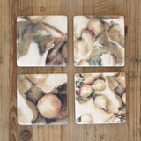 Ivy & Fig Coasters Set of Four